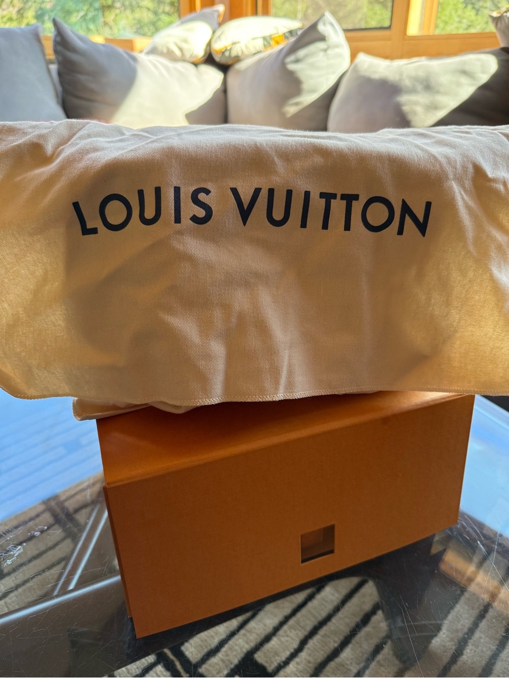 NEW Louis Vuitton Paris Nice BB toiletry bag - Picture 2 of 10